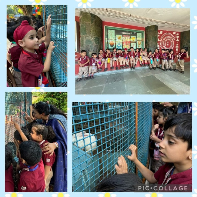 Pre Schoolers take a visit to Bal Bhavan