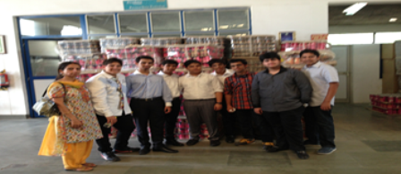Summer Internship at Dharampal Satyapal Group of Industries, Noida, 2013.