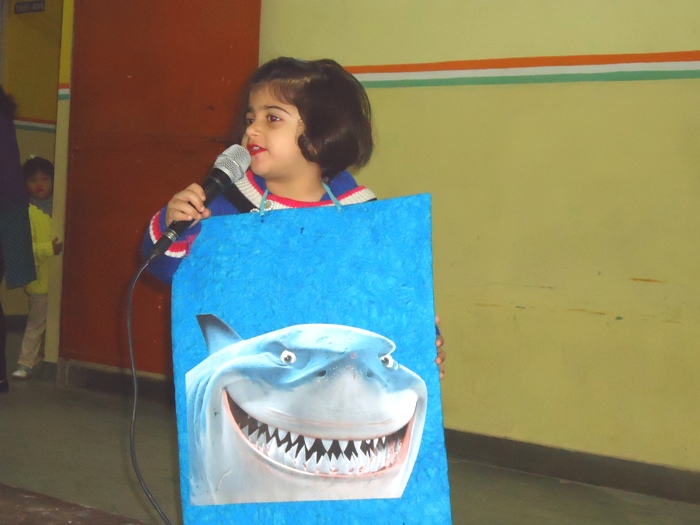 Class Assembly on Animals by Pre-school Kokab.
