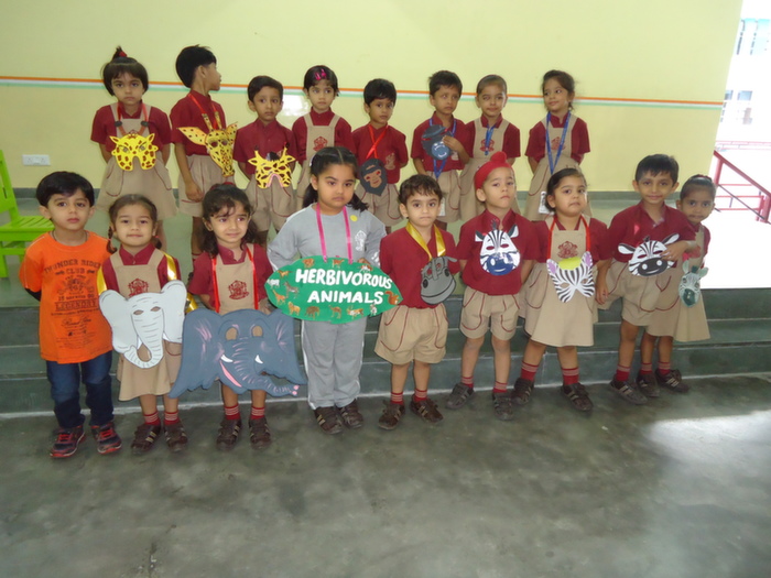 Special Assembly on Herbivores And Carnivores by Pre-school Agena