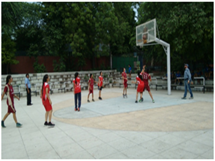 Senior Girls Basketball Zonals