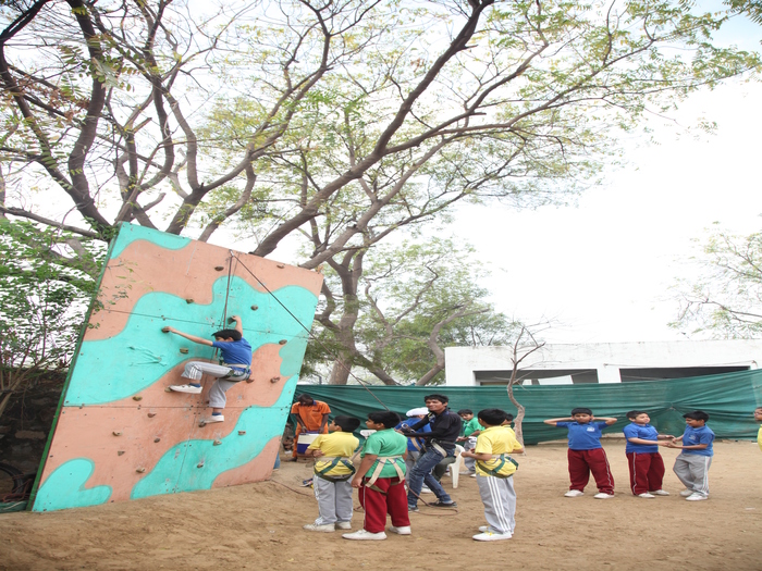 Adventure Camp at the School Eco Park, classes 4 and 5