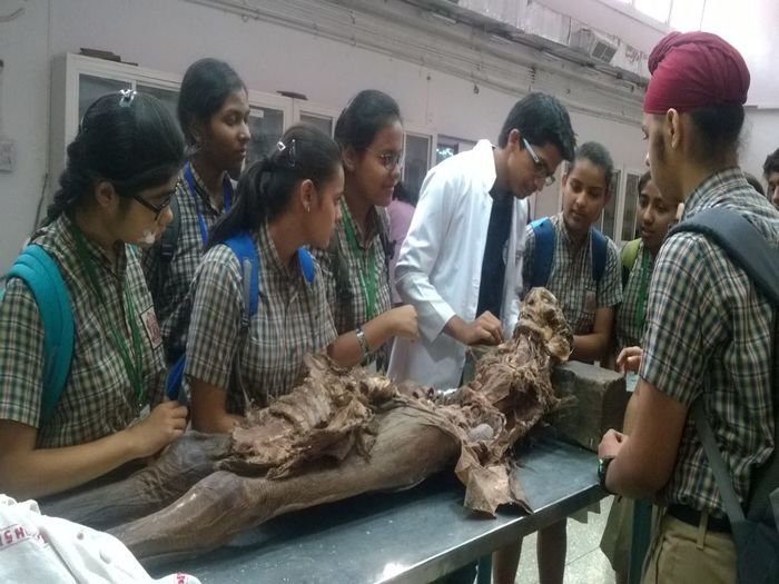 Visit to 'Catalyst- a medical exhibition at AIIMS for senior students