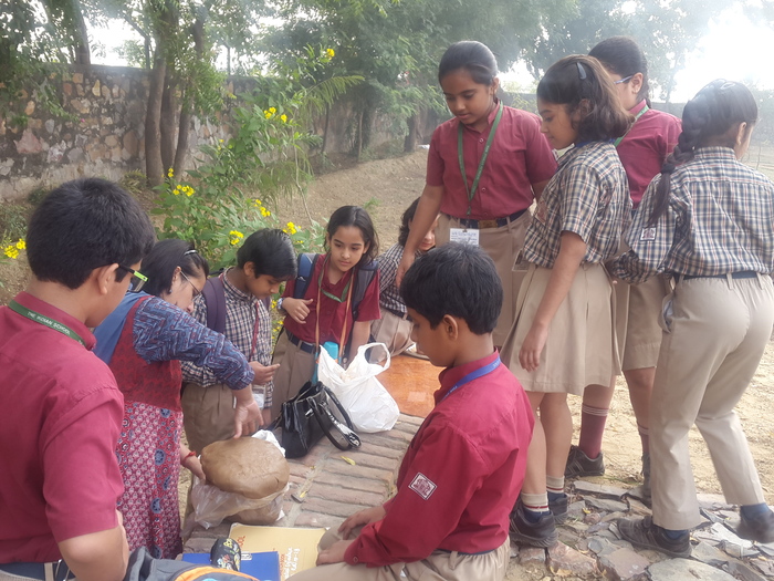 Art camp for middle and senior students at the School Eco Park