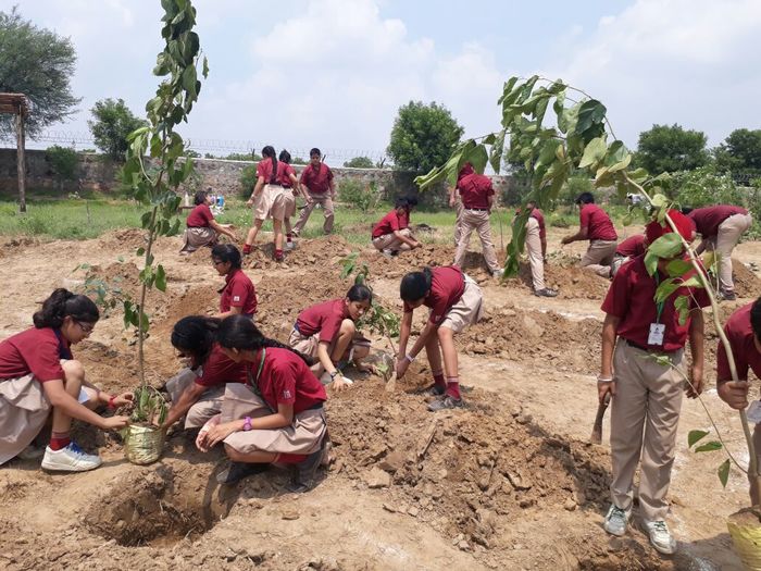 Planting Drive for urban forest at the School eco park- class 8